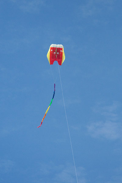 FlowForm 16 kite with 5m fuzzy tail