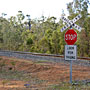 train crossing