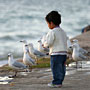 young boy feeding the seagulls