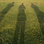 group portrait - L-R: Adrian, Martin, Sam