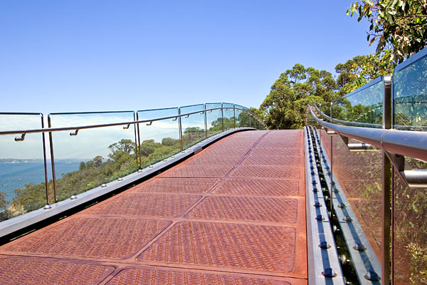 treetop walk