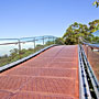 treetop walk