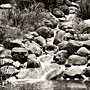 waterfall in sepia