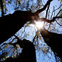 skywards