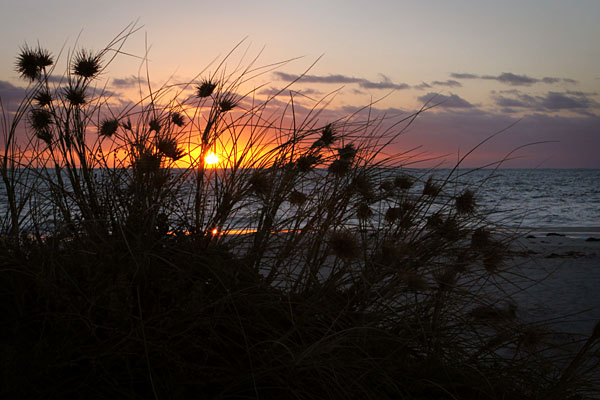 dune sunset