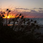 dune sunset
