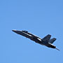 RAAF F/A18 Hornet