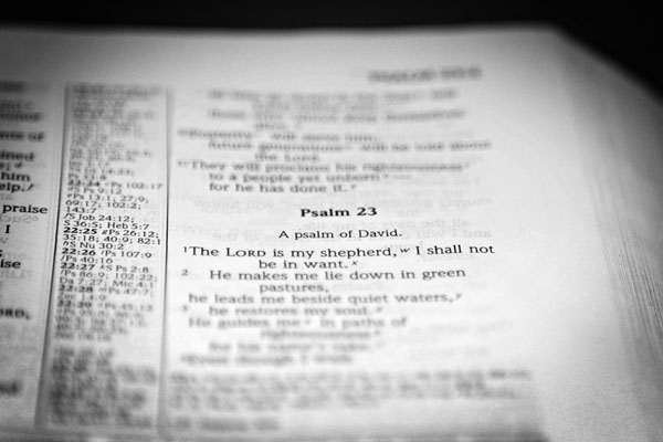 Psalm 23