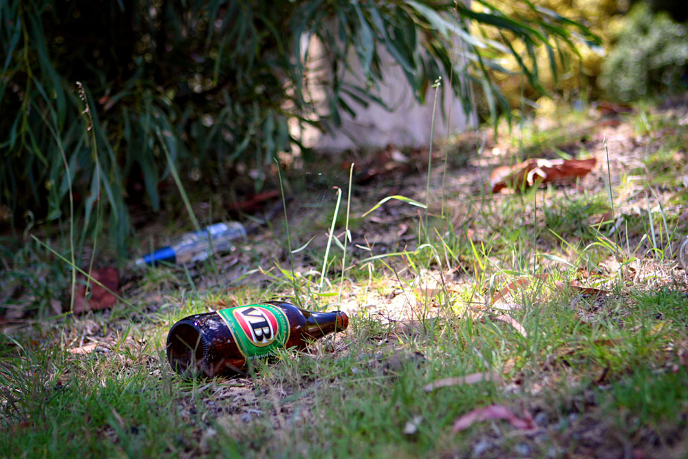 bogan litter