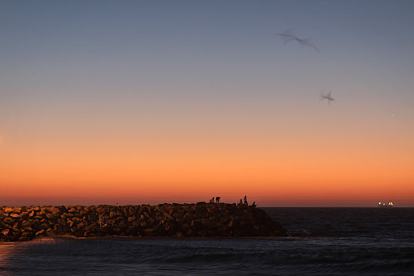 ghostly birds in the sky