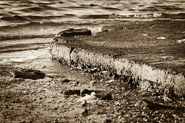 Qantas boat ramp in duotone