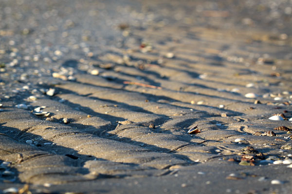 sand patterns