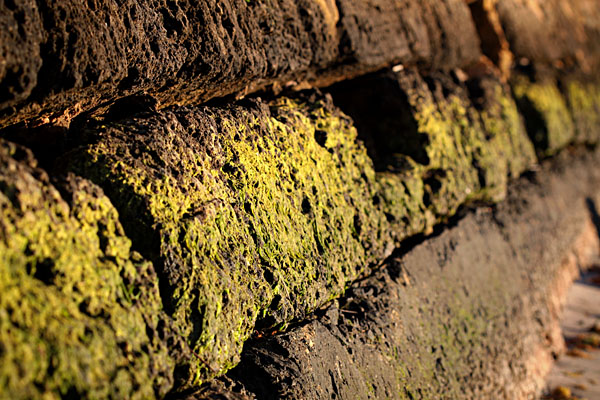 river wall