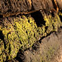 river wall