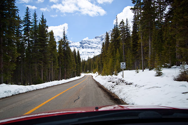 road to Cameron Lake