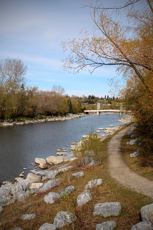 path along the Bow River
