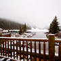 everything is covered in snow