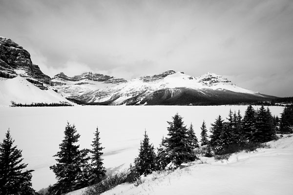 Bow Lake