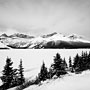 Bow Lake