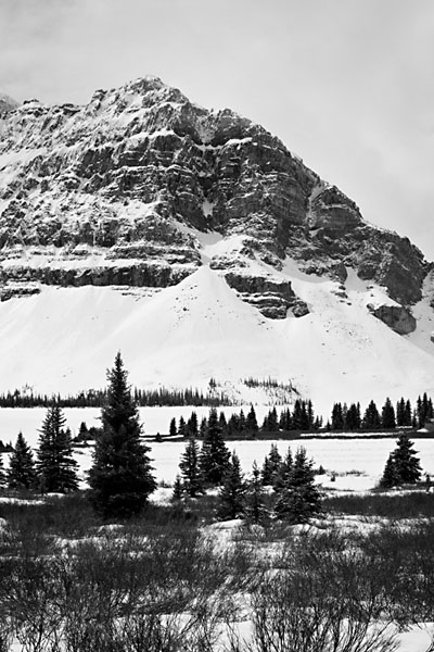 Bow Lake