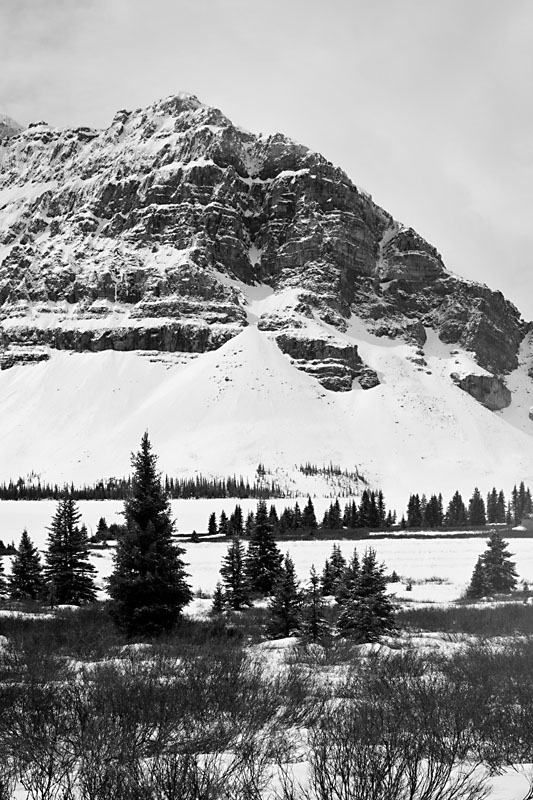 Bow Lake