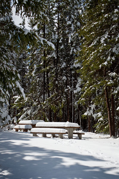 snowy picnic table
