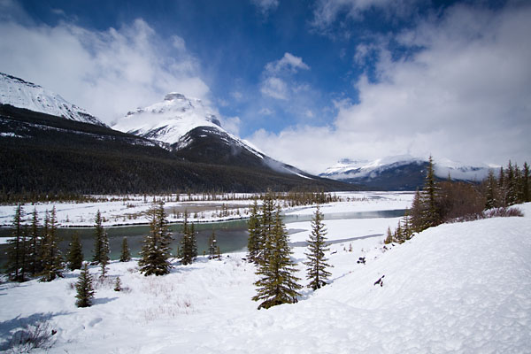 Mount Amery and the Alexandra River