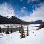 Mount Amery and the Alexandra River