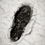 footprint in the snow