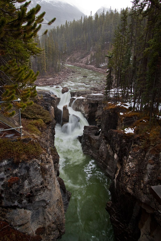 Sunwapta Falls