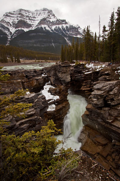 Athabasca Falls