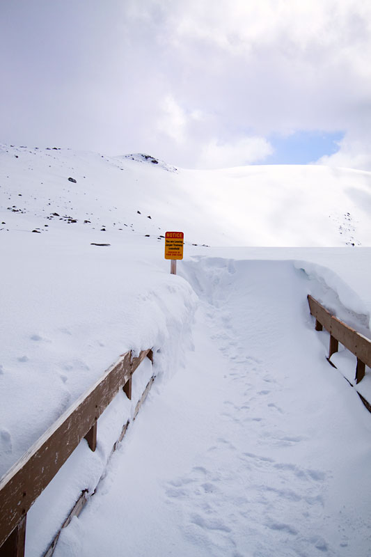 lots of snow over the previous few days completely blocked the path