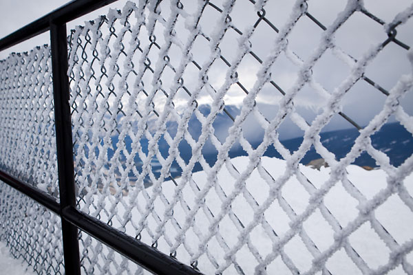 icy fence