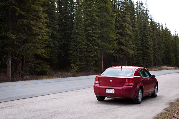 car and trees