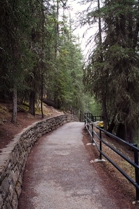 Johnston Canyon walk trail