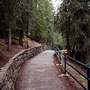Johnston Canyon walk trail