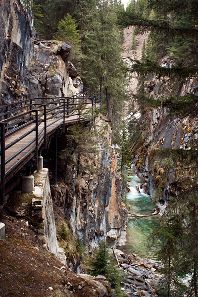 boardwalk high above the water