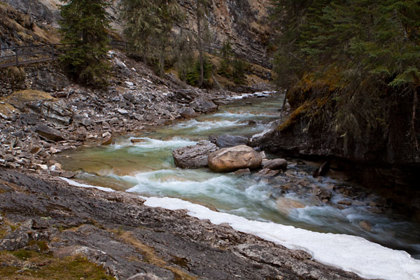 Johnston Creek