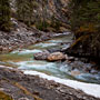 Johnston Creek