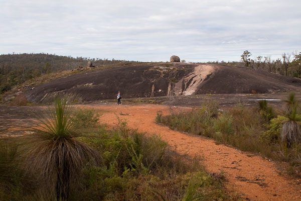 the view when approaching from the road