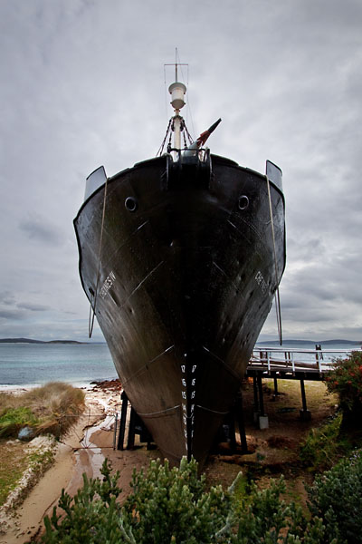 Cheynes IV whalechaser