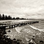 jetty at Ellen Cove