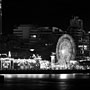 Luna Park at night