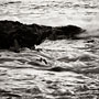 receeding waters