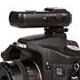 transmitter on the hot-shoe of a Canon 50D