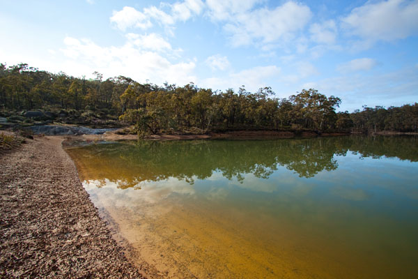 Glen Brook Dam