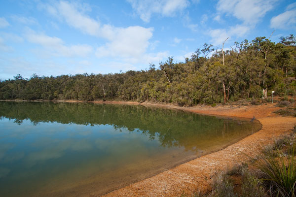 Glen Brook Dam