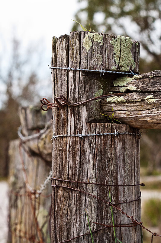 fence post