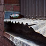discarded VB