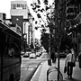 bus lane
